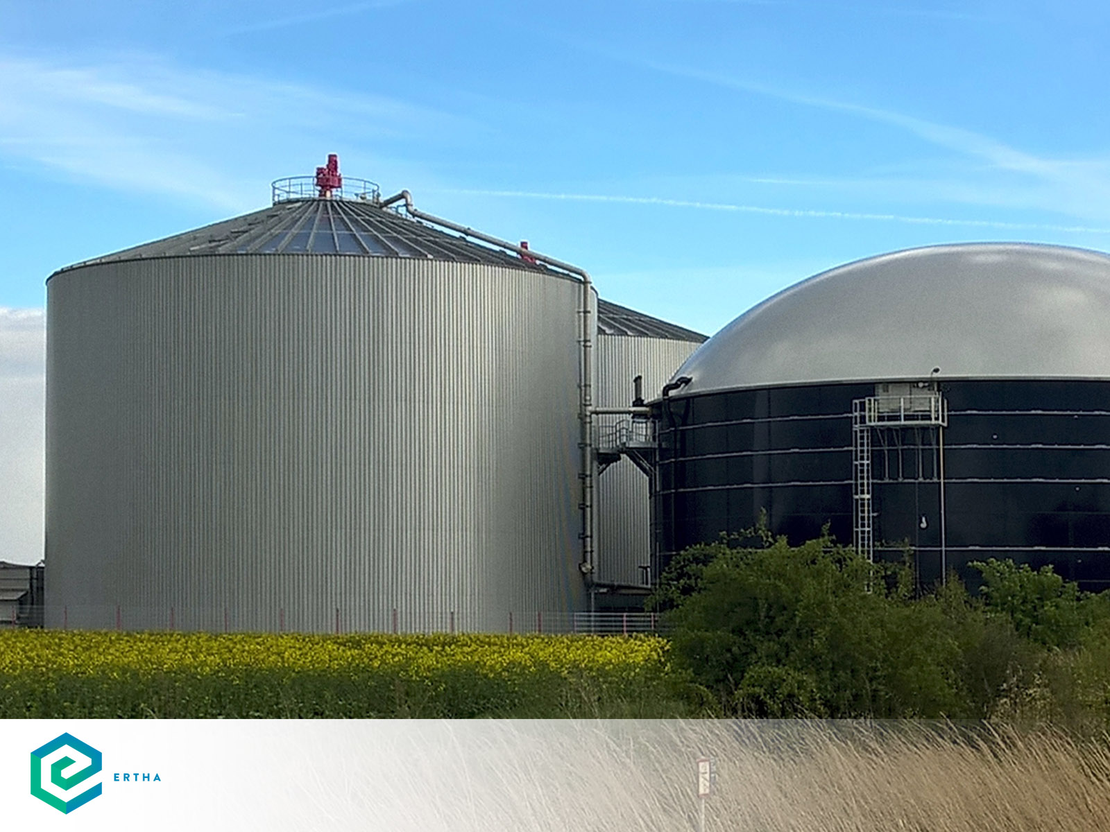 Scopri di più sull'articolo Biogas e incentivi del decreto Pratiche ecologiche